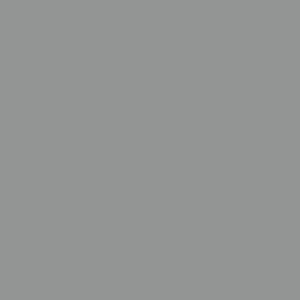 GRIS 590 (ESPECIAL)