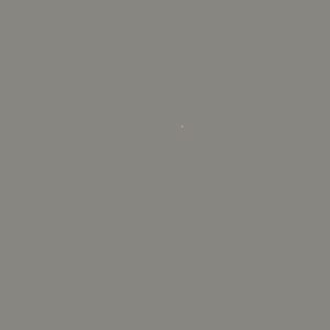 GRIS ESPECIAL
