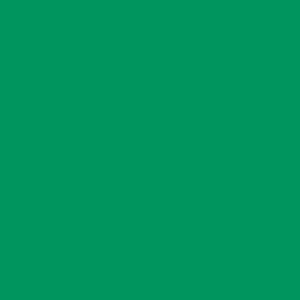 VERDE CAMPO