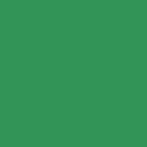 VERDE CHRISTMAS GREEN