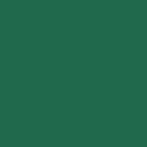VERDE FORESTA