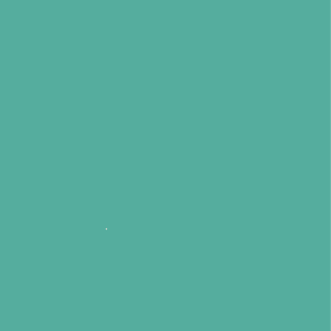 VERDE LAGUNA