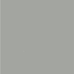 GRIS LUZ