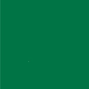 VERDE QUAKER