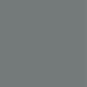 GRIS SOMBRA