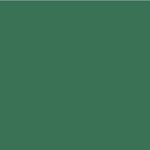 FAST MARK VERDE SHAMROCK