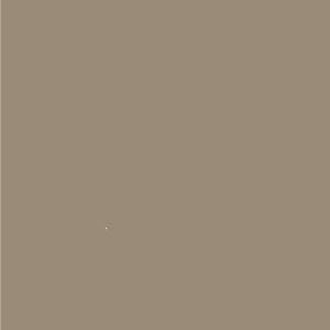 GRIS LEGENDARIO
