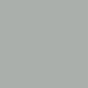 GRIS PERLA 56 (ESPECIAL)