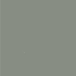GRIS TURBIO