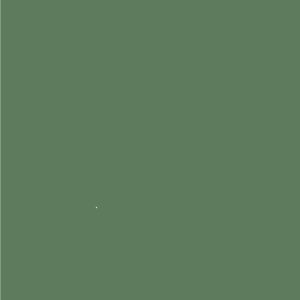 VERDE GRAMA