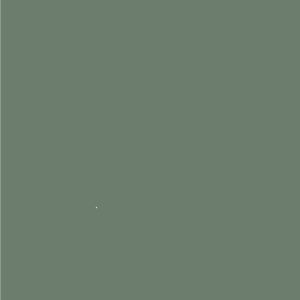 VERDE OSCURO (ESPECIAL)
