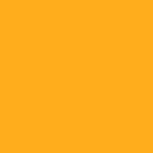 AMARILLO CANARIO