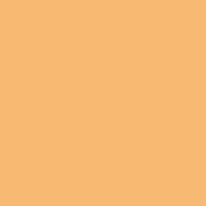CREMA 510 (ESPECIAL)