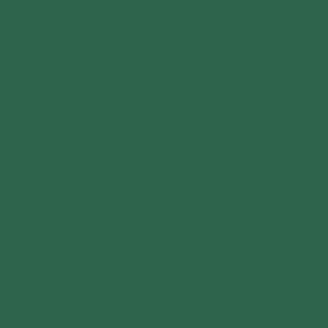 VERDE FORESTA ESPECIAL