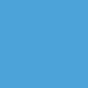 PANTONE 299