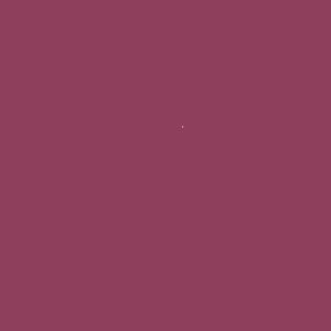 FUCSIA OSCURO
