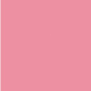 ROSADITO PANTONE