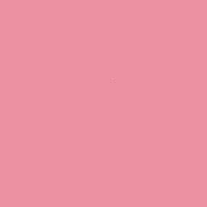 ROSADITO PANTONE