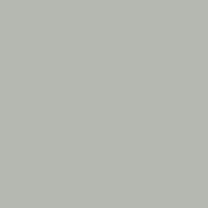 7066 GRIS CLARO