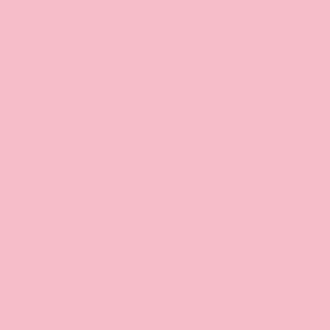 6583 ROSADO
