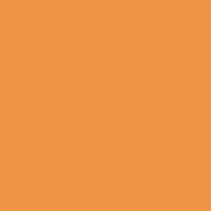 NARANJA CLARA