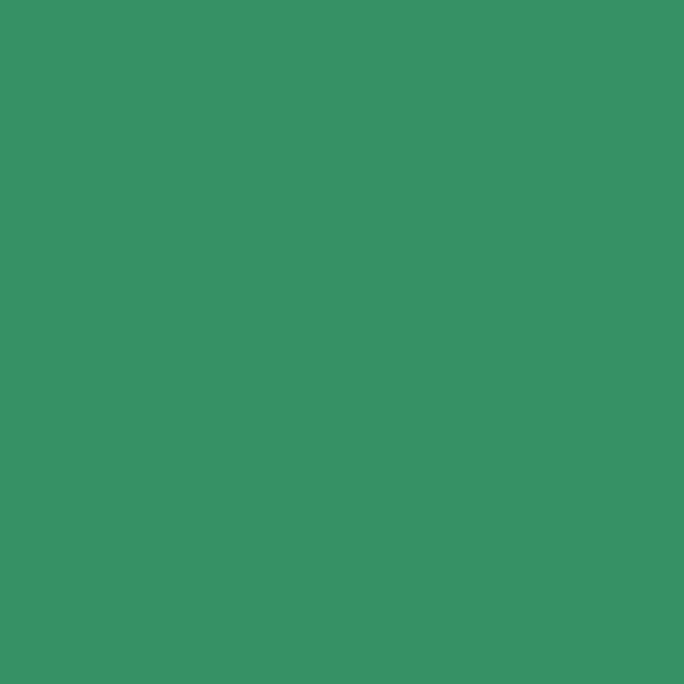 VERDE LIMON 520 MANTENIMIENTO