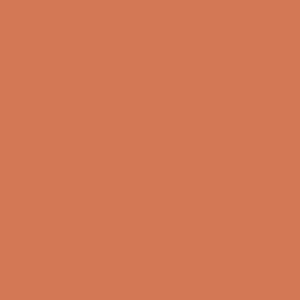 SALMON 030